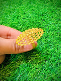Gold plated ring