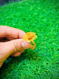 Gold Plated RP Design Ring